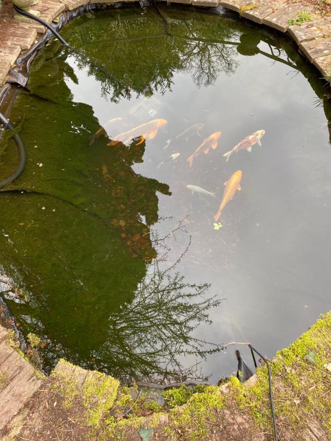 Chichester Retreat With Large Private Mature Garden Eksteriør bilde